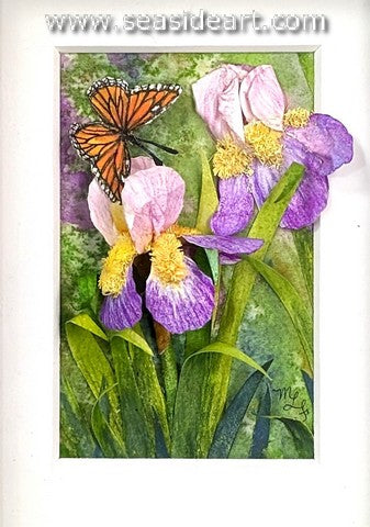 Garden of Graceful Colors