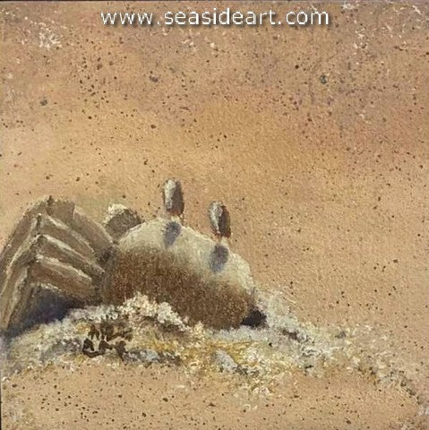Ghost Crab