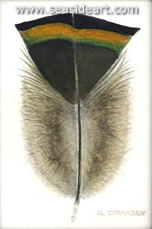 Ormsby-Gift From a Gobbler