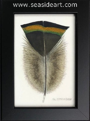 Ormsby-Gift From a Gobbler