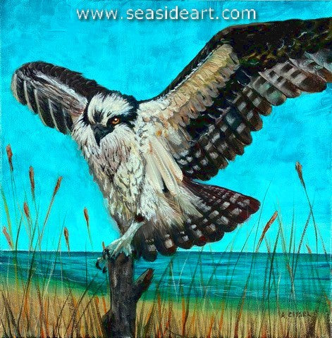 Cissel-Graceful Landing