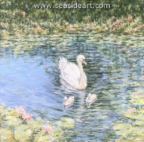 Graceful (Swan Family)