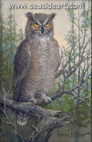 Pothier-Great Horned Owl