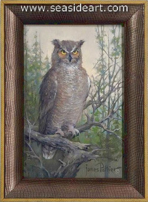 Pothier-Great Horned Owl
