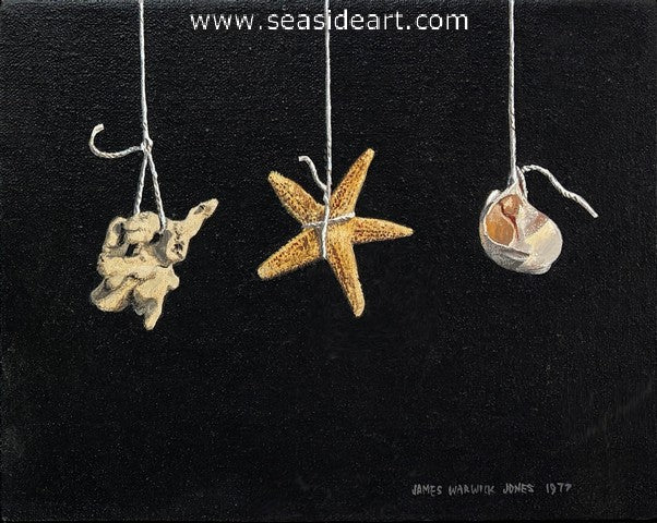 Hang Three: Coral, Starfish, Shell
