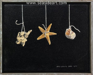 Hang Three: Coral, Starfish, Shell