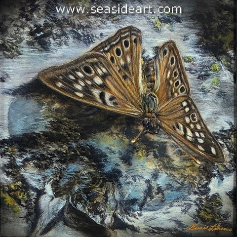 Latham B-Hidden Serenity (Hackberry Emperor Butterfly)