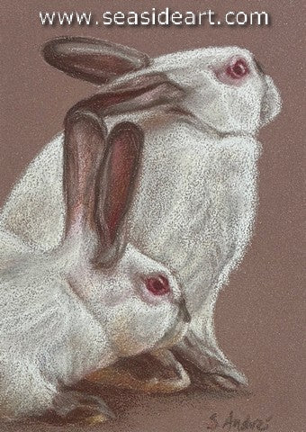 Andre-Himalayan Pair