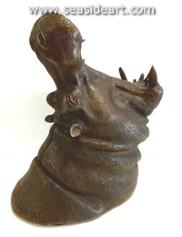 Aja-Hippo