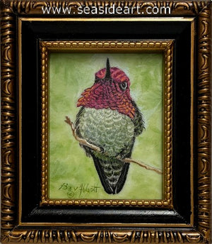 His Flashy Colors (Male Anna's Hummingbird)