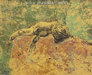 Russell-Inactive Iguana