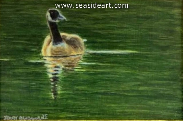 Benbrook-Just Lovely (Canada Goose)