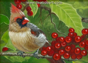 Lady Cardinal with Holly Berries