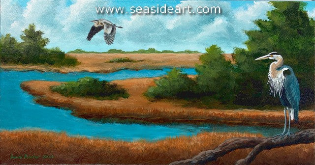 Hunter-Life on Roanoke Sound