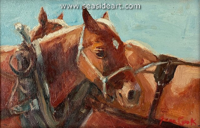 Cook-Light Draft (Sorrels)