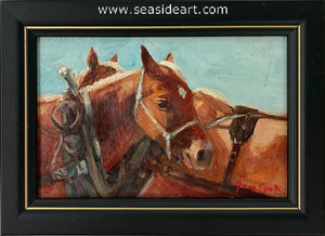 Cook-Light Draft (Sorrels)