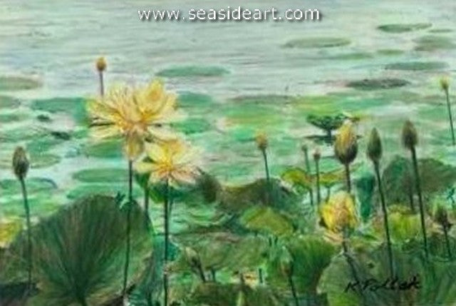 Pollak-Lilies on Parade