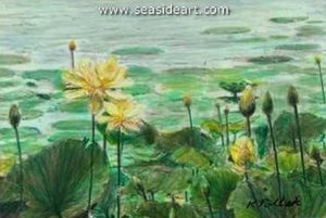 Pollak-Lilies on Parade