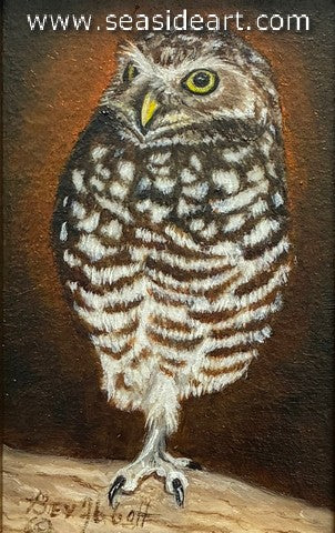 Wise Little Owl (Burrowing Owl)