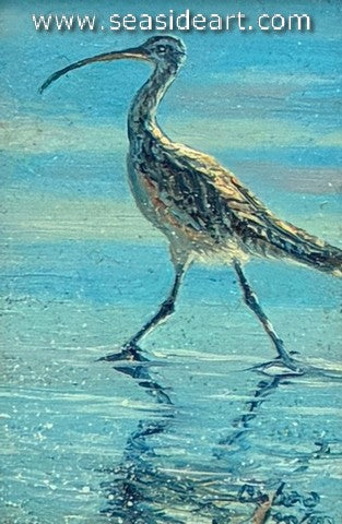 Stanton-Long Billed Curlew