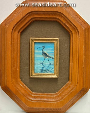 Stanton-Long Billed Curlew