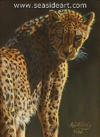 Watanabe-Looking Back