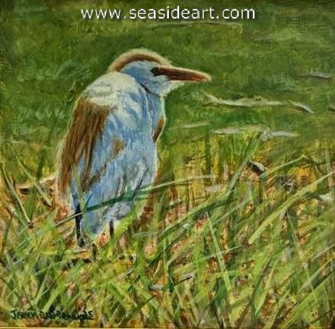 Benbrook-Looking Out (Cattle Egret)