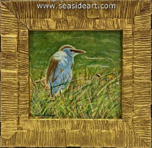 Benbrook-Looking Out (Cattle Egret)