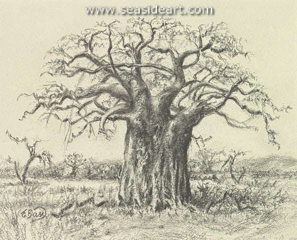 Bass E-Majestic Giant (Baobab)
