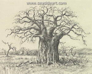 Bass E-Majestic Giant (Baobab)