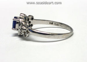 14K White Gold Natural Tanzanite & Natural Diamond Ring