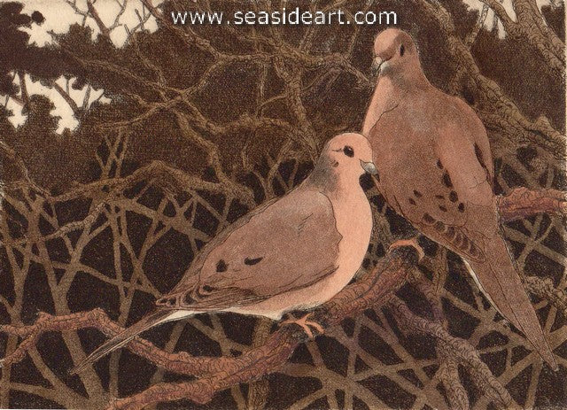 Mourning Doves