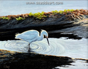 Dey-Mud-Walker (Egret)