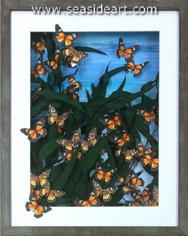 Myanmar Malay Lacewing #4