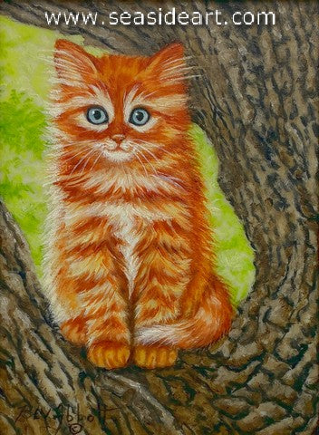 Abbott-My Tree Top View