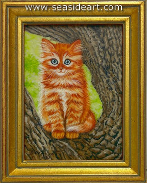 Abbott-My Tree Top View