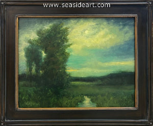 Hopkins-Night Sky Aglow