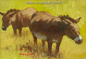 Cook-Not So Lowly Donkey