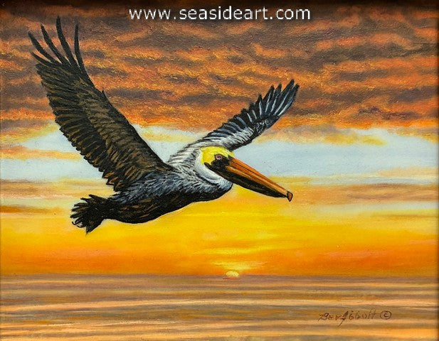 Open Water Sunset (Brown Pelican)