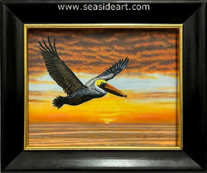 Open Water Sunset (Brown Pelican)