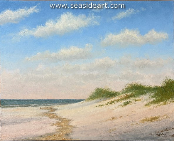 Outer Banks Dune Drifts