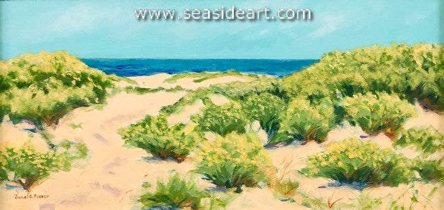 Outer Banks Fall Beauty