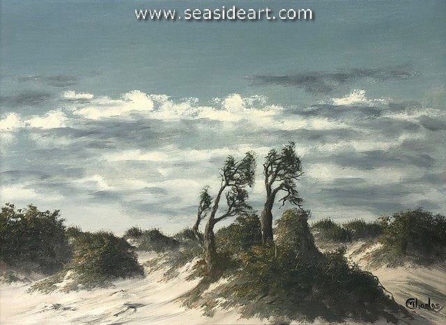 Outer Banks Landscape