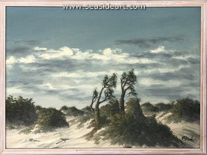 Outer Banks Landscape