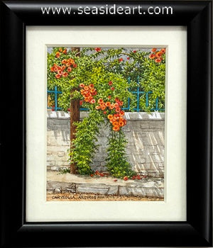 Argyros-Overgrown Trumpet Vine