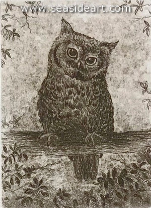 Hedstrand-Owl