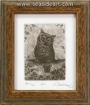 Hedstrand-Owl
