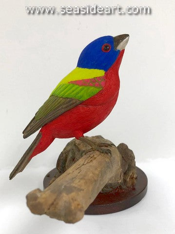 Painted Bunting
