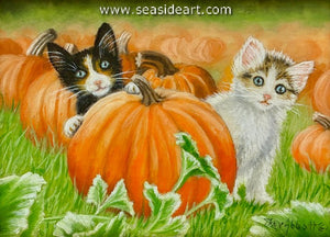 Peek & Boo in the Pumpkin Patch