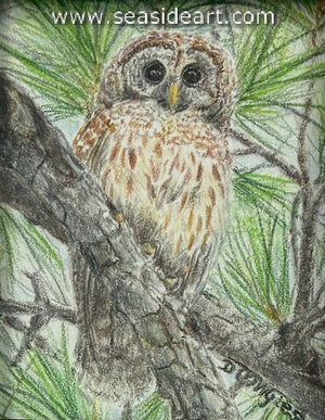 Wyles-Peepers in the Pines